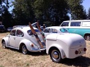 Beetle Show Rioz (23)